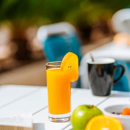 فندق Ibis Styles Aeroport Arenas نيس
