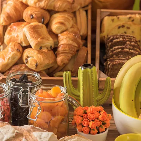 Ibis Styles Aeroport Arenas Nicea